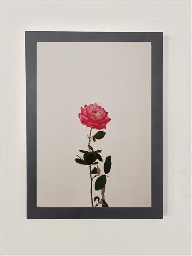 《一枝玫瑰》20寸相框艺术品