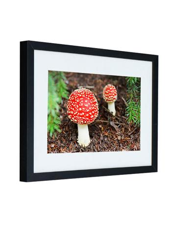 《红蘑菇》28寸相框艺术